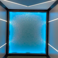 Pièces d'ascenseur : Plafonnier LED panoramique moulé intégralement, édition ciel étoilé, design moderne pour villa et appartement