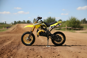 Nouvelle Moto Tout-Terrain pour Enfants 2025, 40-60 km/h, 2 Temps, Refroidie par Air, à Essence, Modèle PCA-01 - Product Image 4