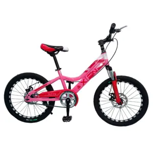 중국 공장 공급 12/14/16 인치 MTB 어린이 스포츠 자전거 디스크 브레이크 시스템 스틸 120kg 저렴한 가격 어린이 야외 장난감 자전거
