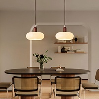 Luminaire suspendu à piles, lustre avec télécommande sans fil, ampoule rechargeable à 9 couleurs à intensité variable pour cuisine, salon, chambre