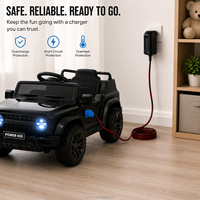 Chargeur de batterie au plomb pour voitures électriques pour enfants 6V 12V 24V avec protection de charge sécurisée - Fabricant OEM ODM