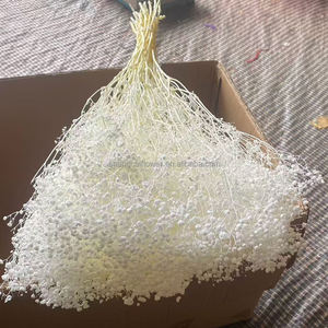 Ghirlande e Piante Floreali <span class=keywords><strong>Decorative</strong></span> Mini Fiori Stabilizzati Nebbiolina Fiori Secchi Ghirlande Bianche Bouquet Gypsophila YFM - Product Image 6
