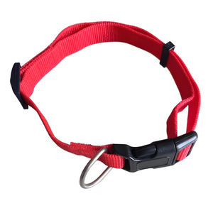 Colliers de chien <span class=keywords><strong>en</strong></span> nylon réglables Laisses pour animaux de compagnie <span class=keywords><strong>en</strong></span> gros multicolores durables pour une utilisation <span class=keywords><strong>en</strong></span> extérieur à faible quantité minimale de commande - Product Image 2