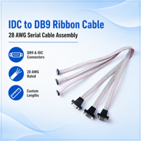 IDC zu DB9 Flachbandkabel 28 AWG Männliches D-Sub Serielles Kabel 9-poliger RS-232 Kabelbaum