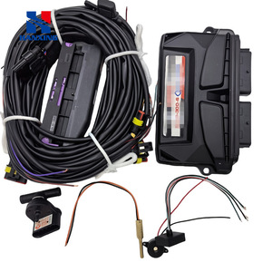 Unité <span class=keywords><strong>de</strong></span> commande électronique d'injection <span class=keywords><strong>de</strong></span> <span class=keywords><strong>base</strong></span> pour conversion automobile GPL/GNC -300-6QMAX, fabriquée en Chine - Product Image 2