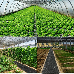 Toile de paillage agricole <span class=keywords><strong>en</strong></span> plastique pour pépinières, anti-mauvaises herbes, pour le marché europé<span class=keywords><strong>en</strong></span> - Product Image 6