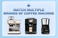 Détartrant liquide écologique jetable pour machine à café et liquide détartrant pour l'eau, pour l'élimination de la calcaire dans la cuisine