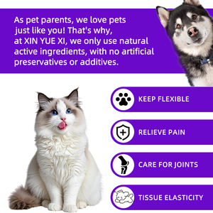 Glukosamin Kondroitin & Omega3 MSM Granul untuk Kucing dan Anjing-Perawatan Sendi Pereda Nyeri & Pendukung Mobilitas dalam Botol (120/300g) - Product Image 2
