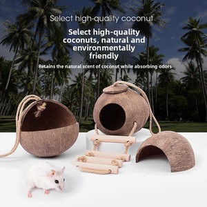 Criceto nido criceto nascondiglio guscio di cocco naturale protezione ambientale raffreddamento decorazione estiva casa riccio giocattoli - Product Image 2