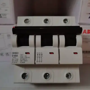 SH801/802-C80/100/125 SH801-D80/100/125 SH802-C80/100/125 SH801-D80/100/125 Nuevo Interruptor Automático Miniatura de Alta Corriente (MCB) 10KA - Product Image 6
