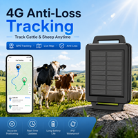 Легкий водонепроницаемый GPS-ошейник IP68 для отслеживания скота в реальном времени, 3 года работы от батареи, портативный дизайн для крупного рогатого скота