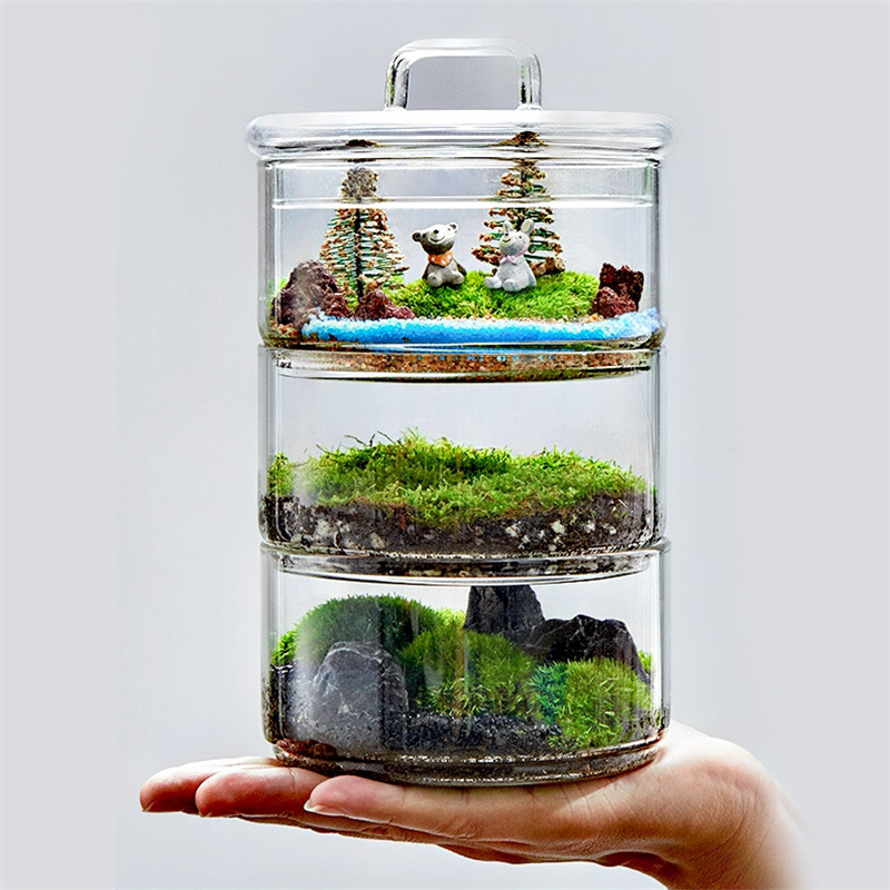 Mikro landschaft Moos Pflanzen Glasflasche mit Deckel Frisches grnes Moos  Blumenerde Terrarium Kreative Bonsai Pflanzen Innen dekor| Alibaba.com