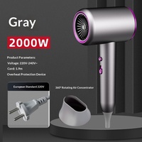 Secador de Pelo Iónico Profesional, Bajo Ruido, Protección Contra Sobrecalentamiento, Apagado Automático, Iones Negativos, Uso en Salón, Hogar, Hotel, Exportación al por Mayor OEM