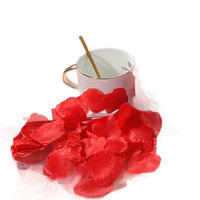 Échantillon Gratuit : Ensemble de Fleurs Séchées Pressées – 6 Types, 18 Pièces (Hydrangea Rouge, Rose, Chrysanthème, Fougère, Gypsophile) – Idéal pour Bricolage et Artisanat Réutilisable