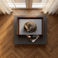 Condo pour chat en bois d'intérieur, arbre à chat de luxe avec enclos pour bac à litière caché