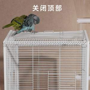 Nid d'oiseau multifonctionnel en métal Indonésie Casa De Papagaio Em Madeira Viveiro De Papagaio <span class=keywords><strong>Cage</strong></span> Piège Oiseaux - Product Image 6