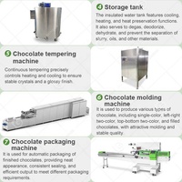 Ligne d'équipement de transformation du cacao semi-automatique pour la production de chocolat, moule à chocolat