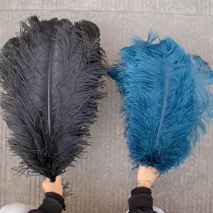 Vente en gros de plumes <span class=keywords><strong>d</strong></span>'<span class=keywords><strong>autruche</strong></span> magnifiques de 45-50 cm, pour la création de bijoux DIY, la <span class=keywords><strong>d</strong></span>écoration de mariage, la <span class=keywords><strong>d</strong></span>écoration de fête, la <span class=keywords><strong>d</strong></span>écoration de la maison, multicolores - Product Image 4