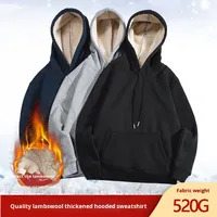 Fabricants de vêtements personnalisés 520 grammes hiver polaire épaissie sweat à capuche décontracté chaud ample à manches longues veste haut