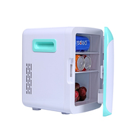 Refroidisseur thermoélectrique Portable AC/DC, vente en gros d'usine, pour les soins de la peau, les boissons, la maison, le bureau et la voiture