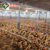 Mangeoires et abreuvoirs automatiques pour poulets à prix abordable, équipement avicole durable et facile à utiliser pour l'élevage de poulets