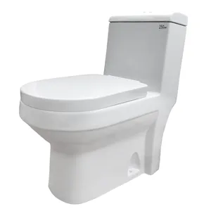 Goodone Wholesale New Modern Cheap Washdown Toilets Sit One Piece Wc