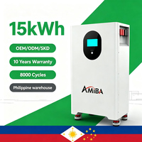 Batterie LiFePO4 15 kWh à montage au sol, 51,2 V, système de stockage d'énergie domestique mince pour l'énergie solaire photovoltaïque, batterie lithium pour usage domestique