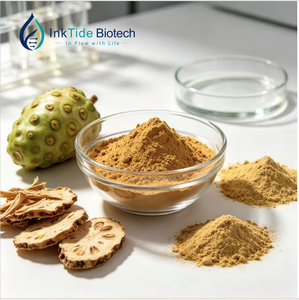 Polvere di <span class=keywords><strong>Noni</strong></span> Naturale 30:1, Liofilizzata e Idrosolubile, Grado Alimentare Istantaneo, Morinda Citrifolia - Product Image 1