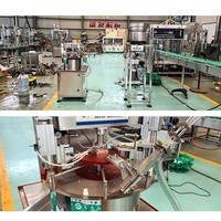 Machine automatique de remplissage et de bouchage de sachets souples à bec verseur pour liquides alimentaires à haute viscosité (sauce tomate, ketchup, jus de fruits)