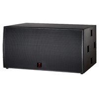 Système de basses haute puissance avec double subwoofer néodyme de 18 pouces, diaphragme en alliage de titane pour salles de concert, boîtes de nuit, son surround professionnel