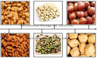 Concasseur d'amandes 500 kg/h, machine à casser les noyaux d'abricot, machine à décortiquer et à classer les amandes