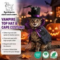 Ensemble de costumes d'Halloween personnalisés OEM pour animaux de compagnie : chapeau de sorcière, cape, fermeture réglable à cordon et auto-agrippante pour chiens et chats, idéal pour les fêtes, vente en gros