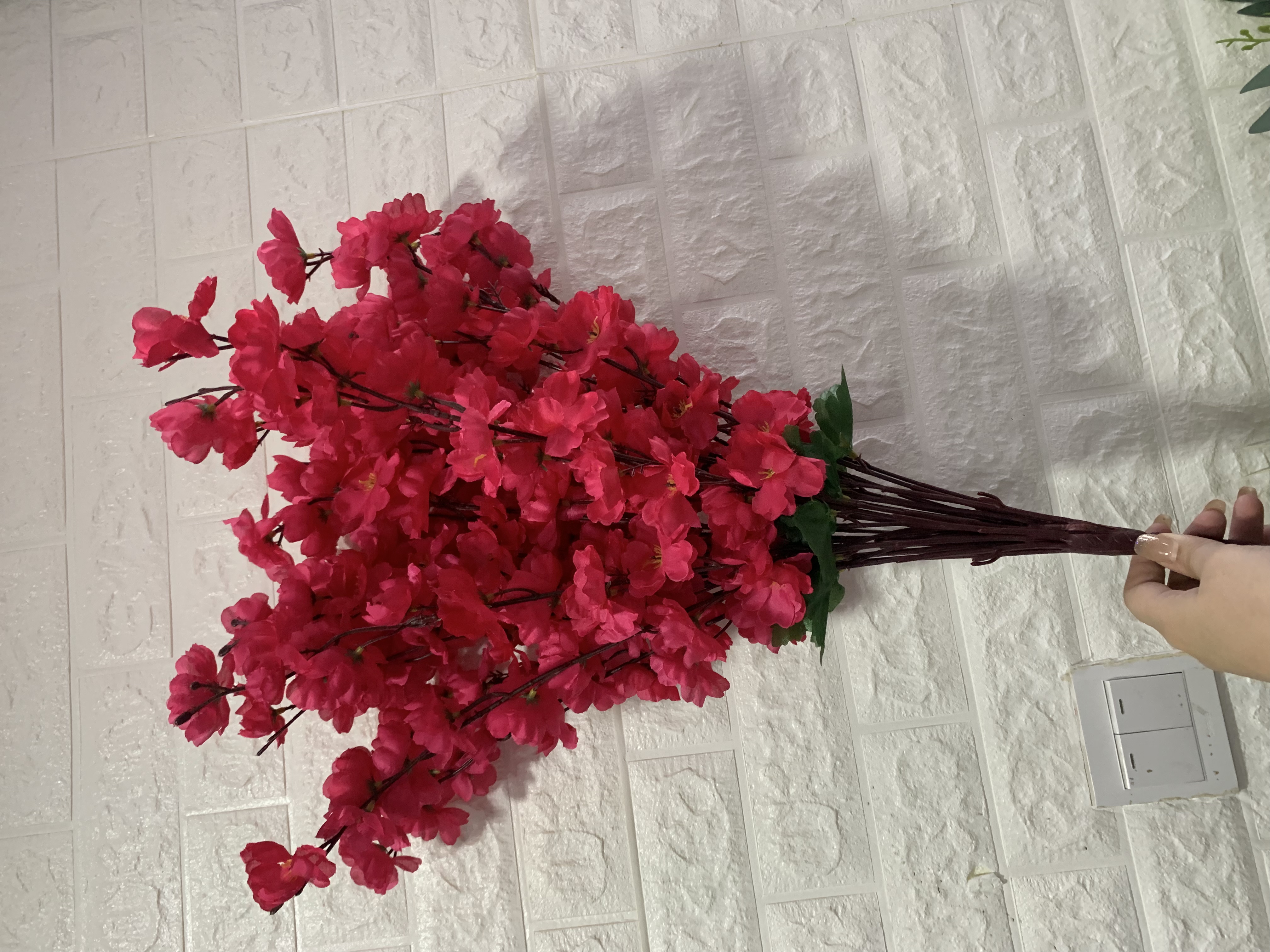 24 forchette rosse