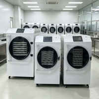 Vriesdroogmachine voor snoep, vacuümvoedsel- en fruitvriesdroger, prijs, droog- en lyofilisatiemachine, lyofilisator voor thuisgebruik