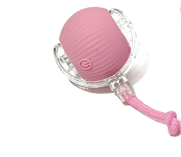 [pas de réveil avec corde] rose