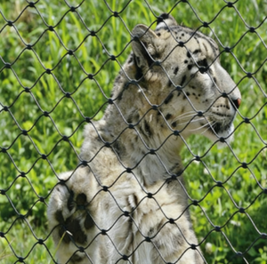 Rete Metallica Flessibile Intrecciata con Fori a Diamante per Recinzione Zoo e Voliere, Tagliabile su Misura - Product Image 3