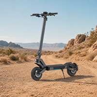 Scooter Eléctrico Todoterreno Plegable N04 48V 800W 15Ah 10 Pulgadas Venta al por Mayor