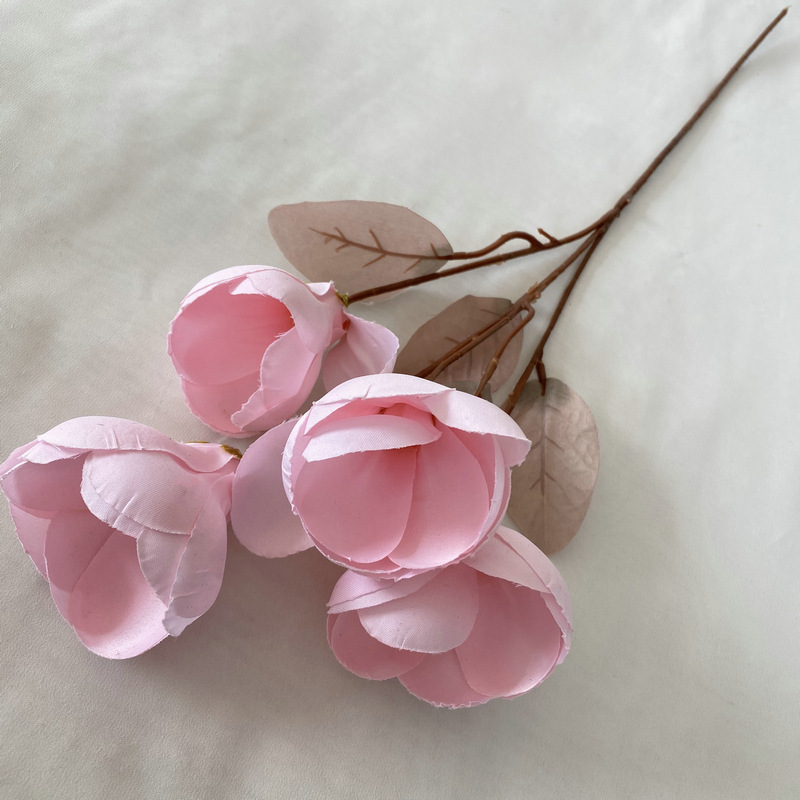 Flor de magnolia Renault de cuatro cabezas largas.
