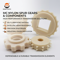 Engrenage à dents droites en nylon autolubrifiant de grande taille de la marque Neway, tolérance de 0,05 mm, processus d'injection et de perçage CNC, couleur personnalisée