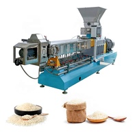 Ligne de production clé en main pour l'extrusion de riz fortifié, usine de fabrication, équipement de traitement du riz nutritionnel artificiel