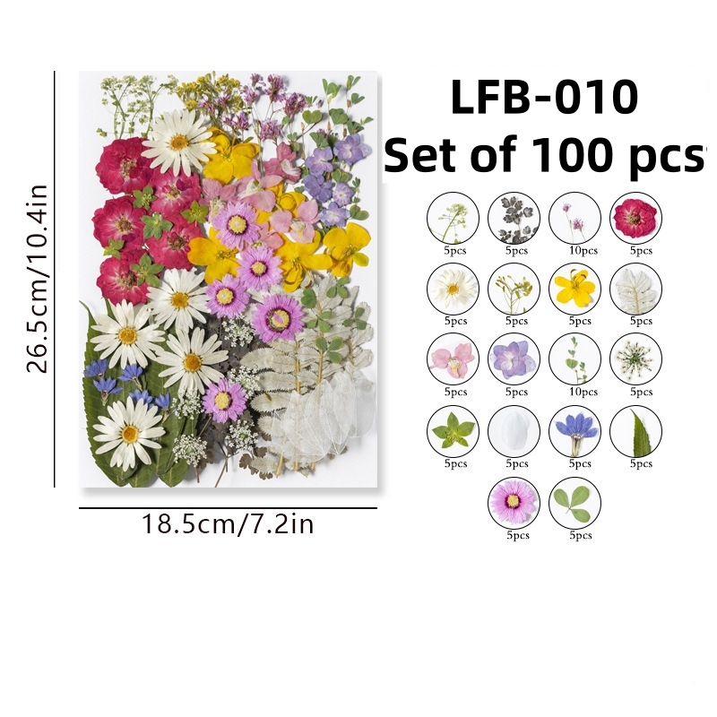 LFB-010