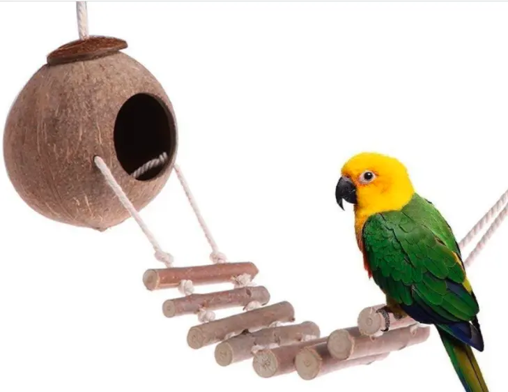 Natuurlijke Kokosnoot Vogelnest Hut Bed Speelgoed Voor Pet Parrot Parkieten Parkiet Valkparkieten Conure Van Lovebird Kanarie Vink Hamster