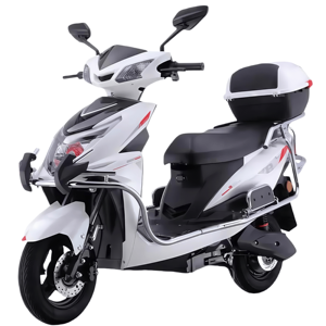Offre Spéciale – Moto Électrique 1000 W avec Cadre en Acier, 2 Roues, Moteur Arrière Sans Balais, Batterie au Plomb-Acide et Capteur Numérique – La Meilleure Moto - Product Image 1