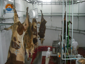 Machine d'abattage de bovins entièrement automatique avec pompe <span class=keywords><strong>à</strong></span> moteur, équipement d'abattage de conception libre pour ligne de transformation de la viande de bœuf - Product Image 4