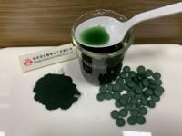 Poudre de spiruline biologique en comprimés, meilleur prix, poudre de spiruline