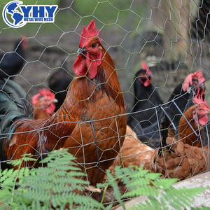 Malla de Alambre de Pollo Recubierta de PVC Verde para Granjas Avícolas, Rollo de Malla Hexagonal para Cercas - Product Image 6