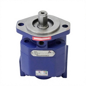 Pièce de rechange pour réparation après-vente, pompe à engrenages hydraulique en fonte revêtue de bleu, résistante à l'abrasion, pompe à huile haute pression - Product Image 1
