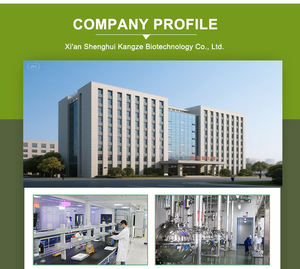 Экстракт дрожжей порошок гидролизованный дрожжевой экстракт пищевой) - Product Image 6