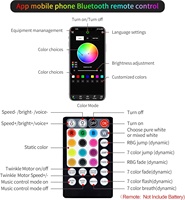 JINXIN 16W Lumière à fibres optiques RVBW à effet scintillant et activée par le son, avec contrôle par application/télécommande, pour éclairage d'étoiles au plafond de voiture et de maison