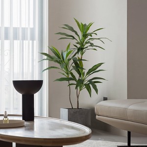 Moderna pianta artificiale sempreverde per interni 90cm/180cm finto velluto verde in vaso in legno brasiliano simulato decorazione d'interni-149 - Product Image 3